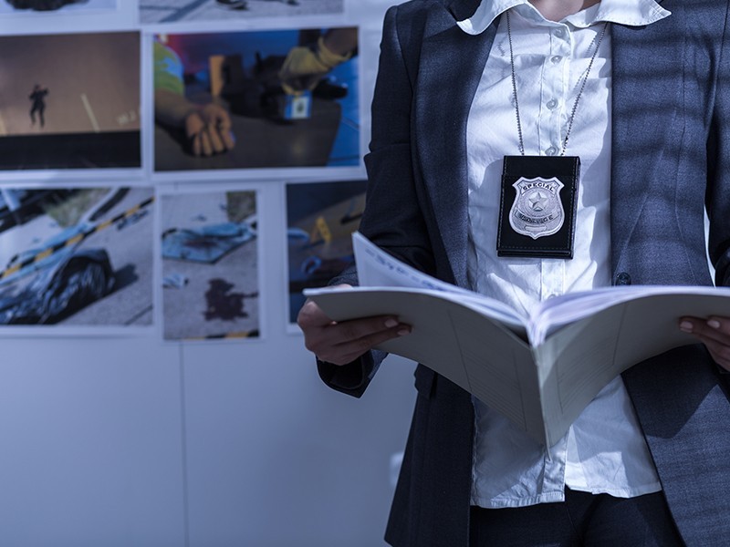 Driving Record Searches